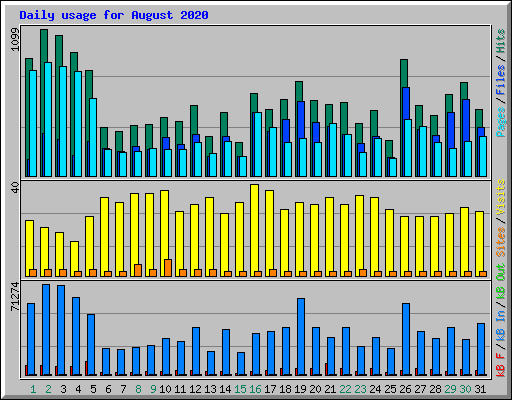 Daily usage for August 2020