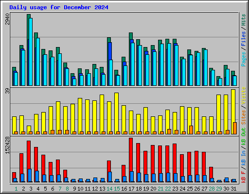 Daily usage for December 2024