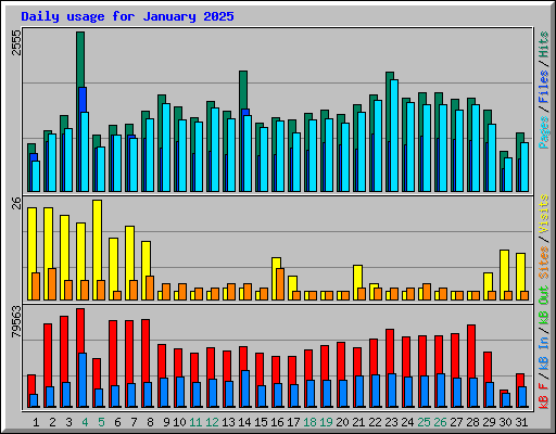 Daily usage for January 2025