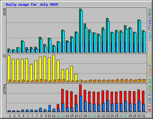 Daily usage for July 2025