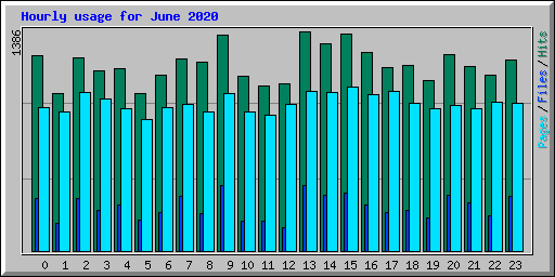 Hourly usage for June 2020