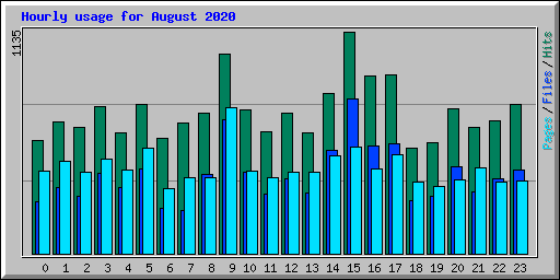 Hourly usage for August 2020