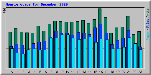 Hourly usage for December 2020