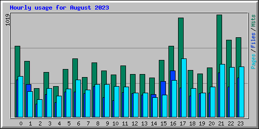 Hourly usage for August 2023