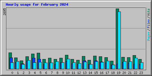 Hourly usage for February 2024