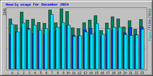Hourly usage for December 2024