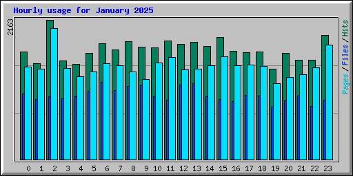 Hourly usage for January 2025
