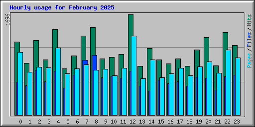 Hourly usage for February 2025