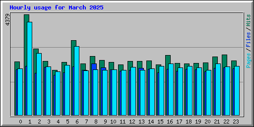 Hourly usage for March 2025