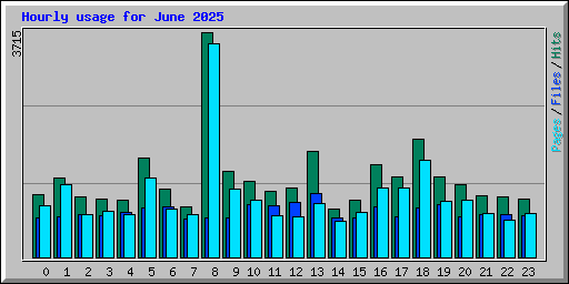 Hourly usage for June 2025