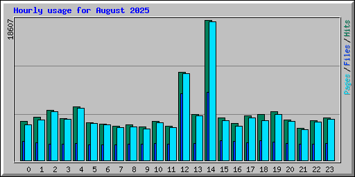 Hourly usage for August 2025
