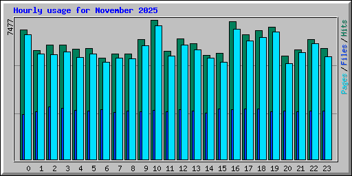 Hourly usage for November 2025