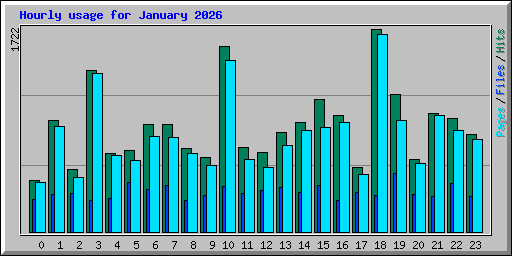 Hourly usage for January 2026